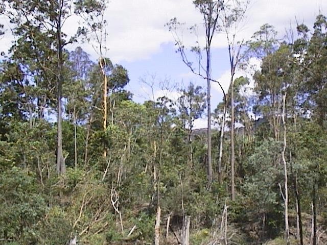 Damage caused by the November 8 Ceder Pocket Tornado