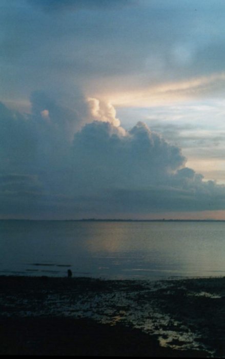 Photo � Ben Quinn
